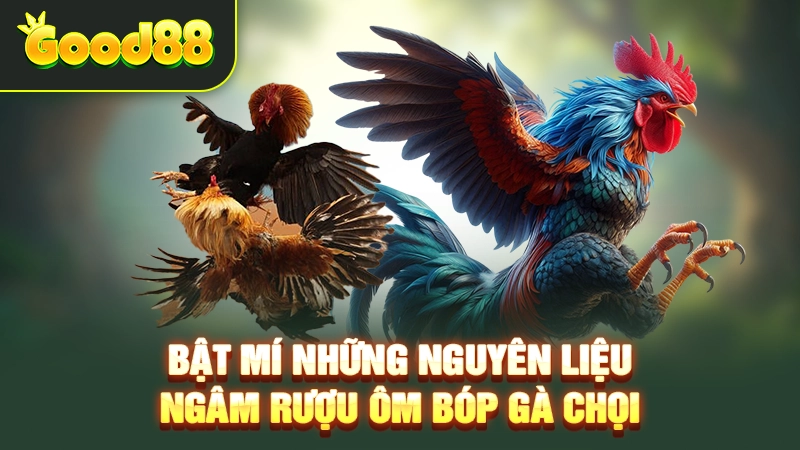 Bật mí những nguyên liệu ngâm rượu ôm bóp gà chọi 