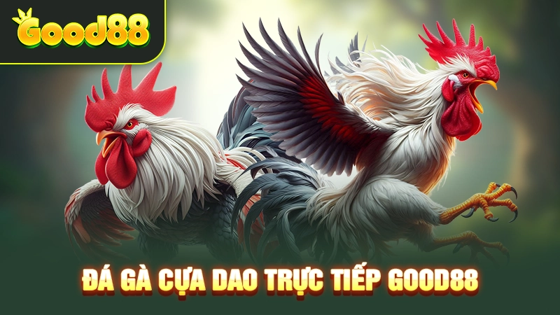 da ga cua dao truc tiep good88