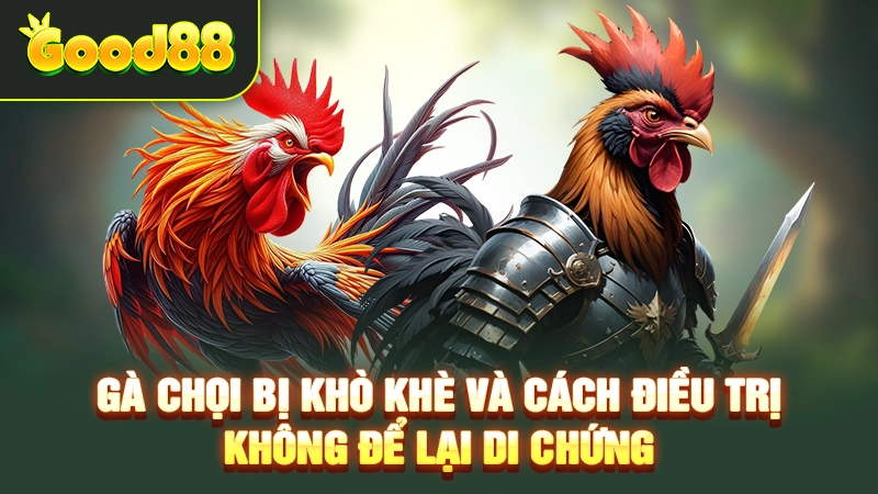 ga choi bi kho khe va cach dieu tri khong de lai di chung