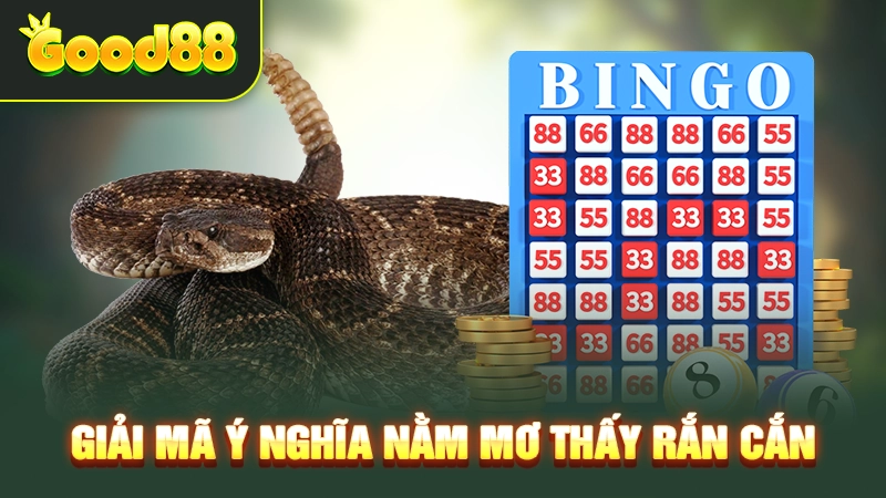 Giải mã ý nghĩa nằm mơ thấy rắn cắn 