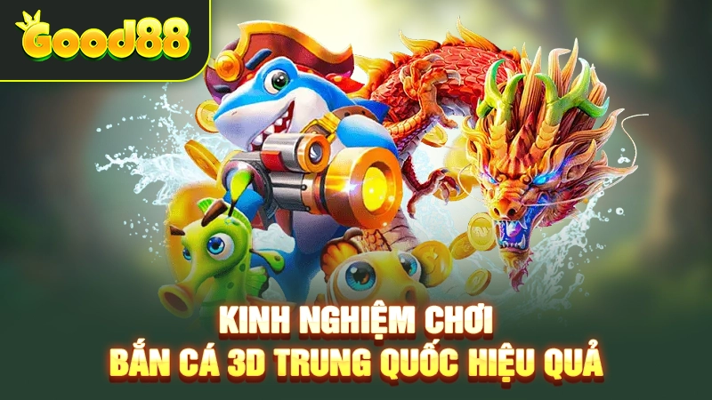 Kinh nghiệm chơi bắn cá 3D Trung Quốc hiệu quả