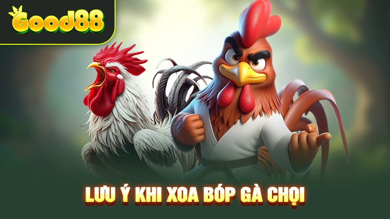 luu y khi xoa bop ga choi