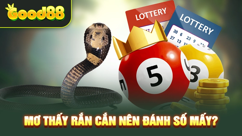 Mơ thấy rắn cắn nên đánh số mấy? 