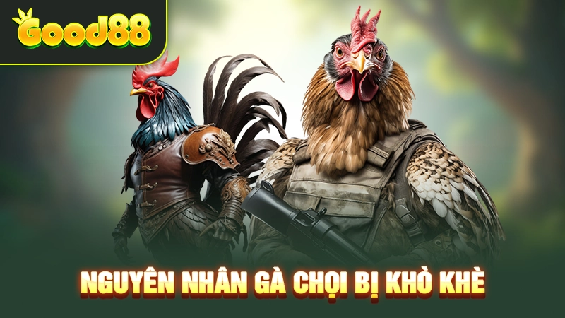 nguyen nhan ga choi bi kho khe 1 1