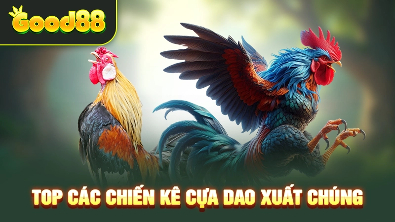 Đá Gà Cựa Dao Trực Tiếp - Học Chiến Thuật Hay Cùng Top Pro 4 Top các chiến kê cựa dao xuất chúng